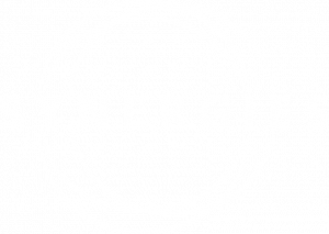 synerg